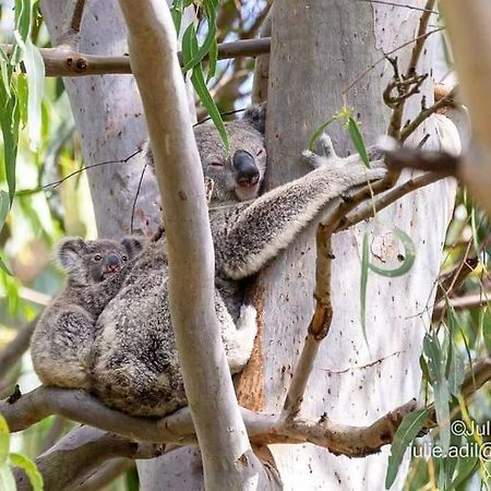 A Quiet Unit Overlooking A Reserve Petrie Exterior foto